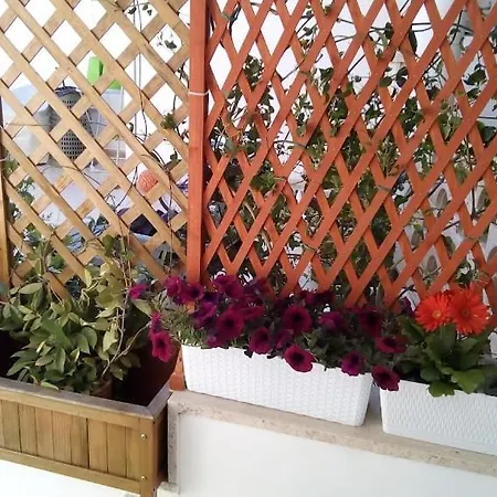 公寓 Lilium 巴里