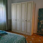 Lilium * Бари