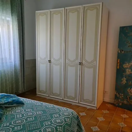 Lilium * Bari