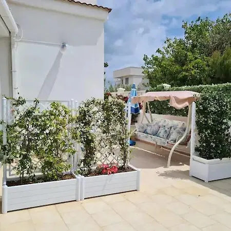 Lilium * Bari