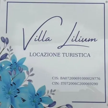 Lilium * Bari